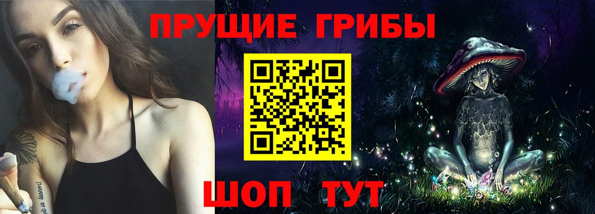 Вязьма  Псилоцибиновые грибы GOLDEN TEACHER  Вход с VPN  Псилоцибиновые грибы MAGIC MUSHROOMS 