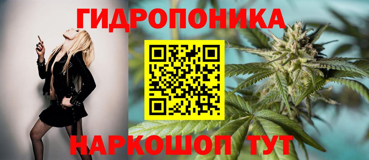 Конопля конопля  Вход с VPN  Вязьма  Бошки Шишки сатива 
